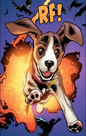 Rocket-dog.jpg