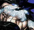 Thumbnail for version as of 23:44, 23 January 2014