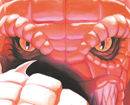 Rex Zorus